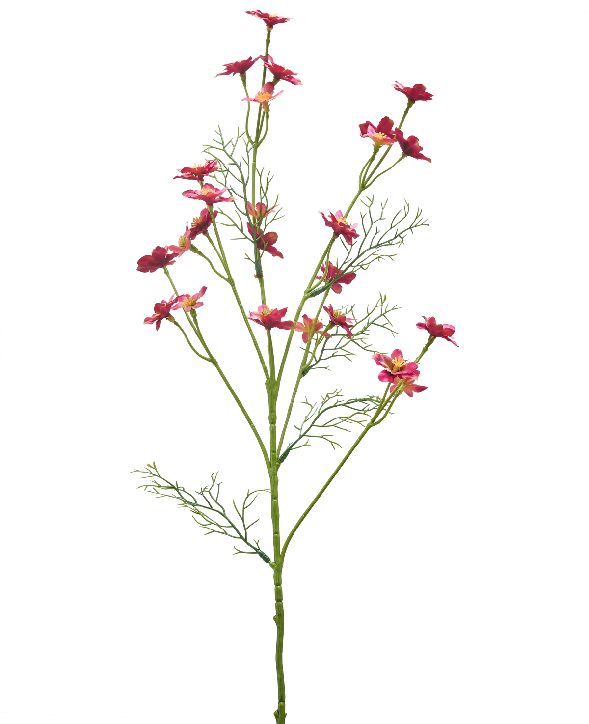 Een Kunstbloem Wilde Bloem 68 cm in donkerroze, met slanke groene stelen, vederlichte bladeren en meerdere kleine felroze bloemen op een witte achtergrond.