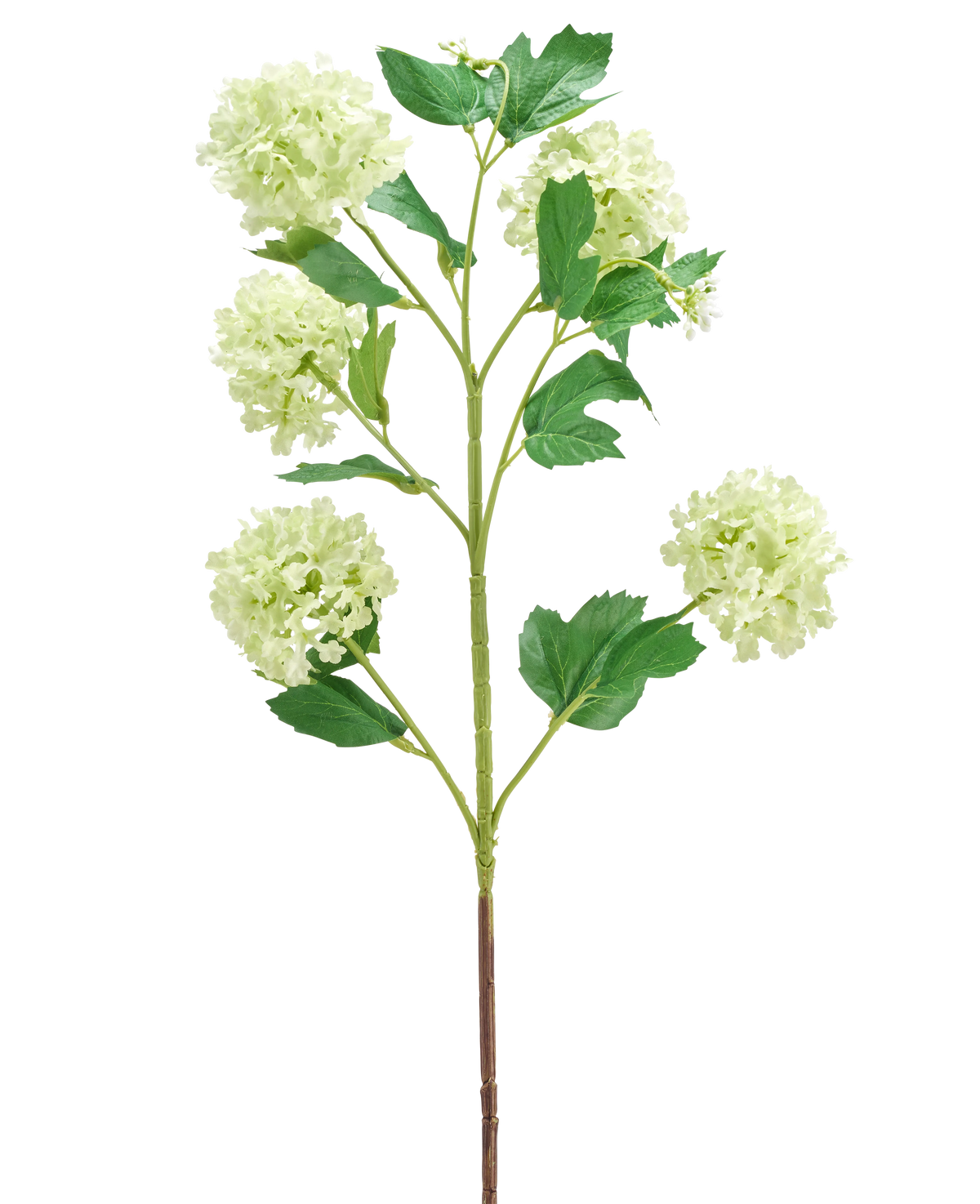 De Kunstbloem Sneeuwbal 77 cm groen heeft een enkele groene stengel met meerdere takken, elk versierd met trosjes ronde, lichtgroene bloemen en verschillende groene bladeren, allemaal geïsoleerd op een witte achtergrond.