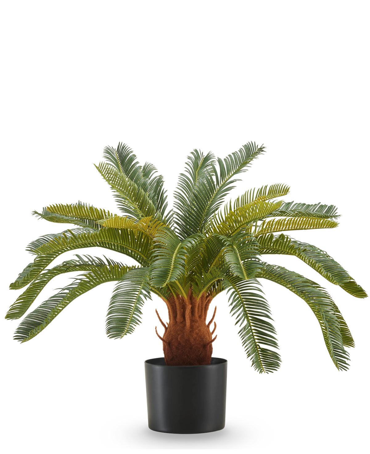 De Kunstplant Cycas UV 60 cm heeft lange, gebogen groene bladeren en een dikke, bruine stam met textuur in een zwarte pot, tegen een witte achtergrond.