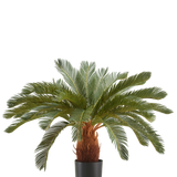 De Kunstplant Cycas UV 90 cm heeft lange, gebogen groene bladeren en een dikke bruine stam in een zwarte pot, tegen een effen witte achtergrond.