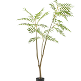 De Kunstplant Mahonia 180 cm is een hoge kunstplant met slanke stengels en lange, smalle groene bladeren in een eenvoudige zwarte pot, afgebeeld tegen een effen witte achtergrond.