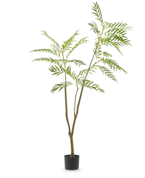 De Kunstplant Mahonia 180 cm is een hoge kunstplant met slanke stengels en lange, smalle groene bladeren in een eenvoudige zwarte pot, afgebeeld tegen een effen witte achtergrond.
