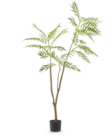 De Kunstplant Terminalia Catappa 180 cm is een hoge kunstplant met slanke groene bladeren en meerdere lange takken, in een kleine zwarte pot tegen een effen witte achtergrond.