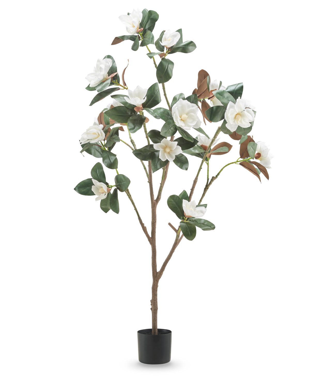 De Kunstplant Yulania 150 cm met bloem is een hoge kunstmagnolia met meerdere takken, weelderige groene bladeren en witte bloemen in een kleine zwarte pot, tegen een effen witte achtergrond.
