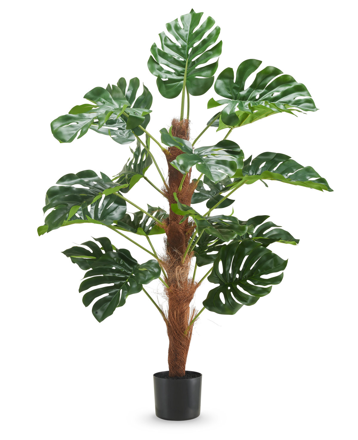 De Kunstplant Monstera 120 cm is een kunstplant in pot met grote, glanzende groene bladeren en een bruine stengel met textuur tegen een effen witte achtergrond.