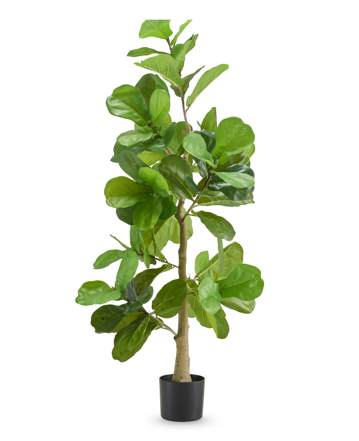 De Kunstplant Tabaksplant 150 cm is een hoge kunstplant met brede, glanzend groene bladeren en een slanke stam, weergegeven in een eenvoudige zwarte pot tegen een effen witte achtergrond.