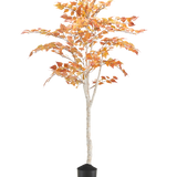De Kunst Berkenboom "Herfst" 150 cm is een hoge kunstberk met een slanke witte stam en oranjegele herfstbladeren, in een kleine zwarte pot tegen een effen witte achtergrond.
