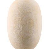 De Vaas Blush Meadow 42 cm beige is een ronde vaas van keramiek met een gestructureerd, steenachtig oppervlak en een smalle opening, afgebeeld tegen een witte achtergrond.