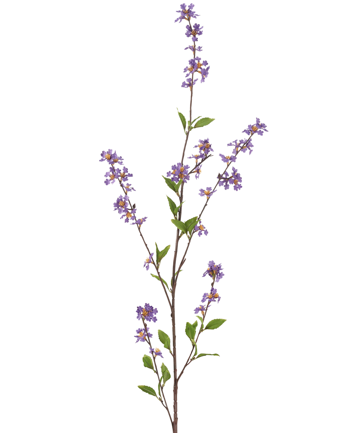 De Kunstbloem Bloemen 119 cm paars heeft een hoge, slanke tak met trossen kleine paarse bloemen en groene bladeren, perfect om elke ruimte op te fleuren.