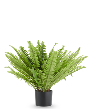 Kunstplant Bosvaren: kunstvaren van 60 cm in een eenvoudige zwarte pot.