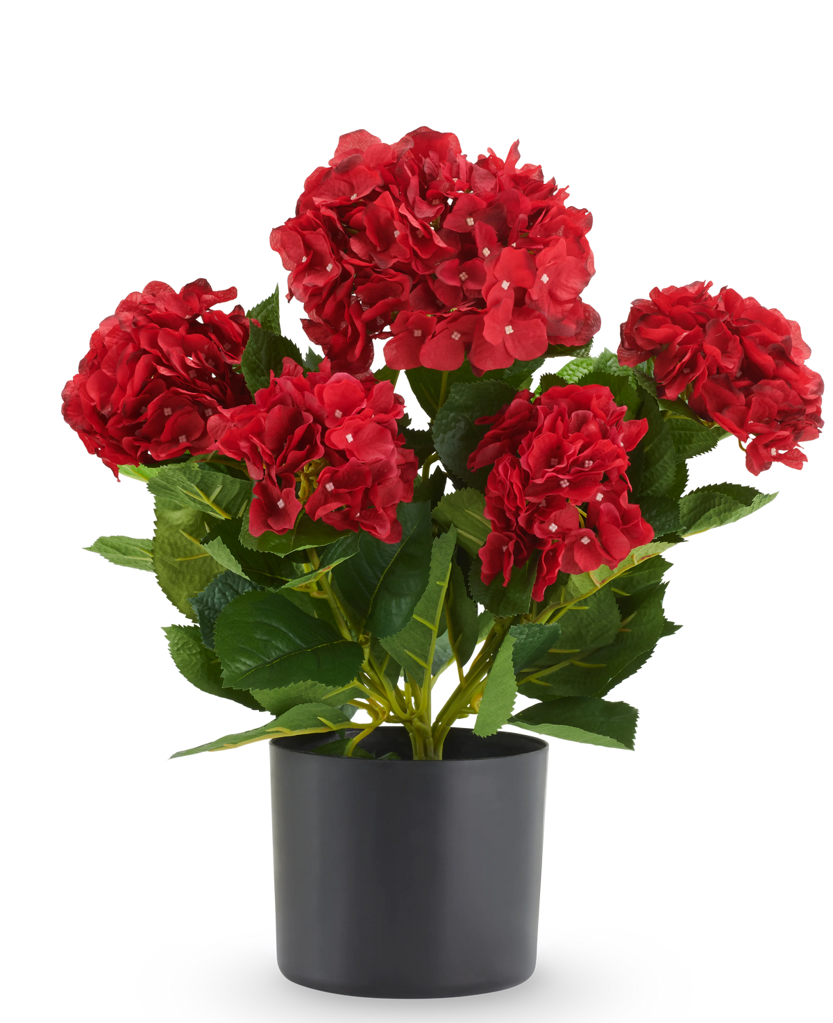 Kunst Hortensia UV 50 cm rode kunsthortensia in een zwarte pot.