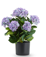 Kunsthortensia UV 50 cm paars/blauw, een UV-bestendige kunsthortensia met paarse en blauwe bloemtrossen in een zwarte pot.