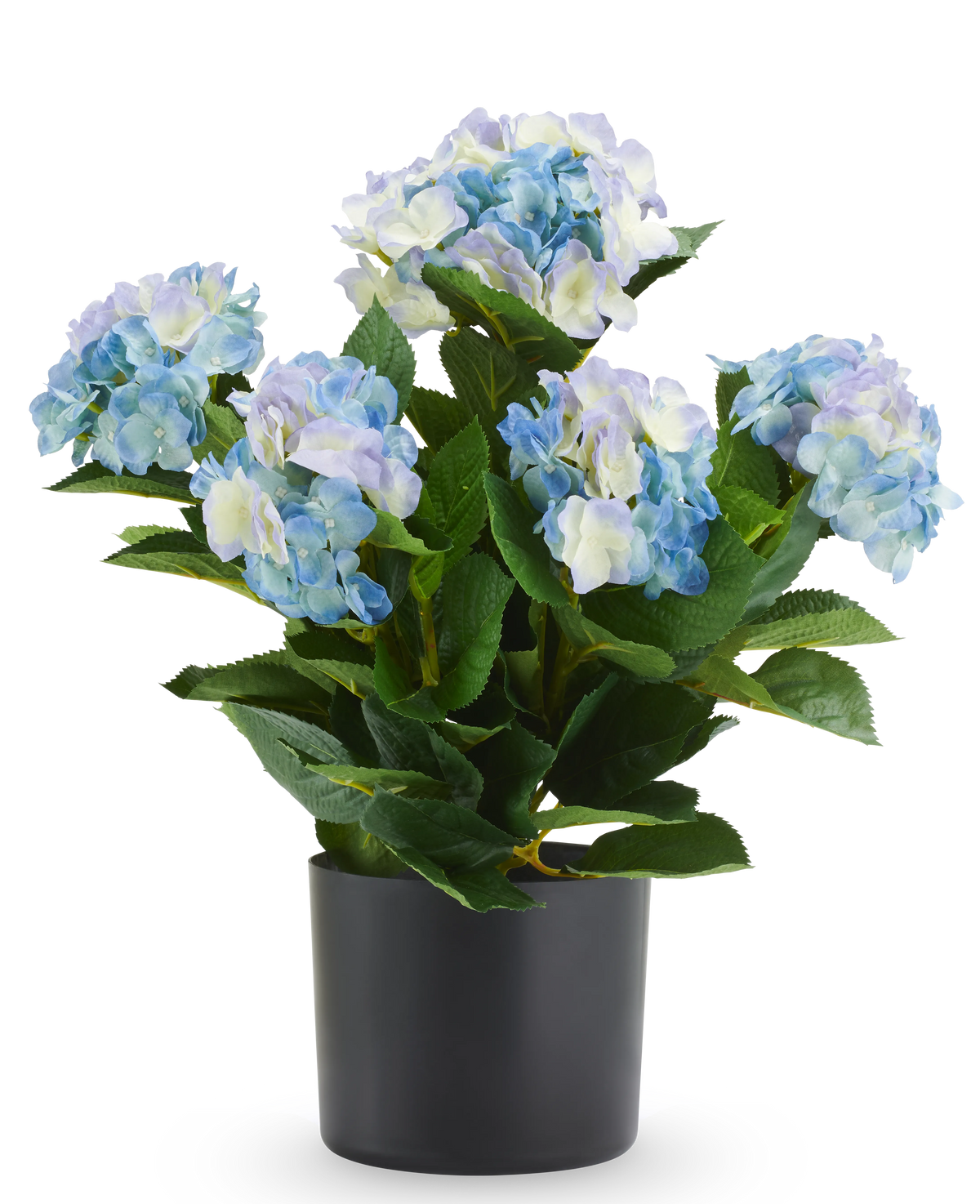 Kunstmatige blauw-witte Hortensia UV van 50 cm in een zwarte pot.