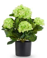 Kunstplant Hortensia UV 50 cm, geel met geelgroene bloemen in een zwarte pot, een onderhoudsvriendelijke kunstplant.