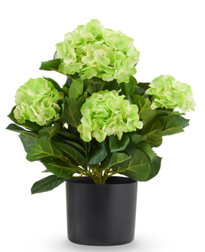 Kunstplant Hortensia UV 50 cm, geel met geelgroene bloemen in een zwarte pot, een onderhoudsvriendelijke kunstplant.