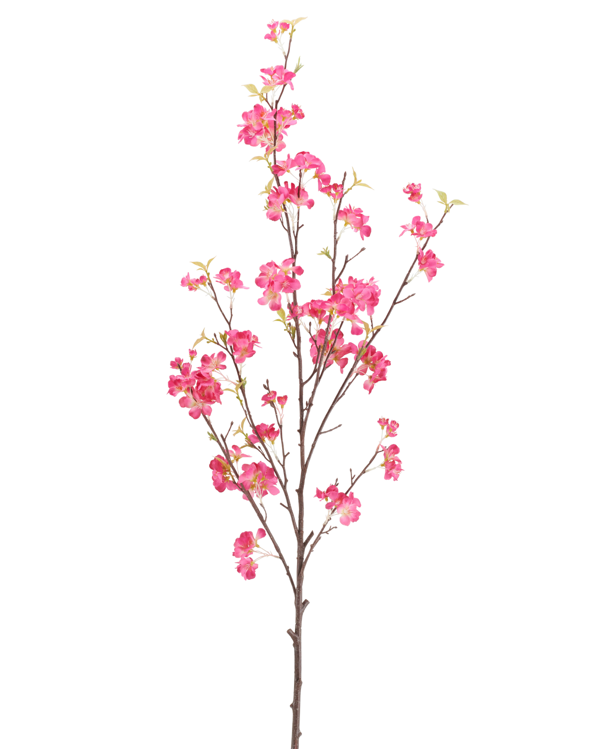 Een Kunstbloem Kersenbloesem: een 150 cm lange fuchsia-kleurige kunsttak met kleine fuchsia-kleurige bloemen.