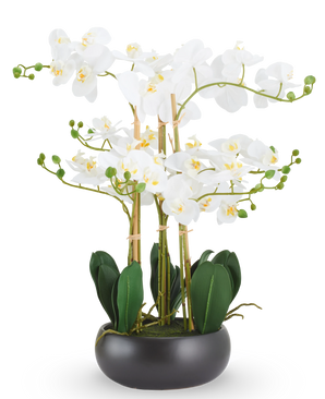 Kunst Orchidee Real Touch 50 cm wit in zwarte pot: een kunstmatige witte Real Touch-orchidee met groene bladeren in een ronde zwarte pot.
