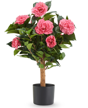 Kunstplant Camellia 60 cm: roze kunstplant met roze bloesems en groene bladeren in een zwarte pot.