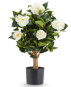 Kunstplant Camellia: kunstplant van 60 cm met witte bloesems en groene bladeren in een zwarte pot.