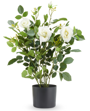 Kunstplant Rozen 60 cm wit, een kunstmatige witte rozenplant in een eenvoudige zwarte pot.