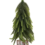 Mini-kunstkerstboom Wedel van 30 cm met naaldachtige takken op een cilindervormige voet met houtnerfmotief, ideaal als compacte kerstversiering.