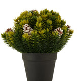 Kunstkerstplant met dennenappels in pot "Fura" 14 cm