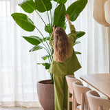 Een persoon met lang, golvend haar, gekleed in een groen pak, staat binnenshuis en reikt omhoog om de grote bladeren van de Kunstplant Strelitzia 240 cm real touch bij te stellen, die staat opgesteld naast een eettafel met houten stoelen en doorschijnende gordijnen op de achtergrond.