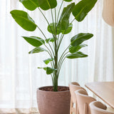 De Kunstplant Strelitzia 240 cm real touch, met zijn grote groene bladeren, staat in een pot naast een eettafel en stoelen van licht hout, tegen een achtergrond van doorschijnende witte gordijnen in een lichte, moderne kamer.