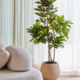 Een Kunstplant Ficus Carica Vijgenboom van 150 cm staat naast een moderne beige bank, met op de achtergrond doorschijnende gordijnen en zacht natuurlijk licht.
