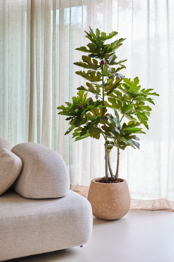 Een Kunstplant Ficus Carica Vijgenboom van 150 cm staat naast een moderne beige bank, met op de achtergrond doorschijnende gordijnen en zacht natuurlijk licht.
