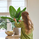 Een vrouw met lang golvend haar, gekleed in een groen pak, verzorgt een Kunstplant Strelitzia Real Touch Deluxe van 90 cm op een toonbank naast een schaal met citroenen in een lichte kamer met een raam.