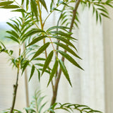 De Kunstplant Mahonia van 180 cm, met zijn lange, slanke, puntige groene bladeren, staat voor een zacht verlicht raam dat wordt omlijst door doorschijnende witte gordijnen.