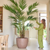 Een persoon in een groen pak staat binnenshuis en raakt zachtjes de lange bladeren aan van een Kunstplant Kentia-palm van 270 cm, die naast een eethoek met lichte houten stoelen staat.