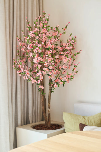 De Kunstplant Kersenbloesem 120 cm roze, met zijn roze kersenbloesembloemen, staat naast een houten tafel in een lichte, moderne kamer, met daarachter een beige gordijn en een lichte bank.