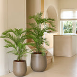 Twee palmplanten in potten, waaronder de opvallende kunstplant Phoenix van 160 cm in moderne grijze plantenbakken, staan op een lichte vloer in een minimalistisch beige interieur met natuurlijk licht dat door een groot raam naar binnen valt — perfect om een vleugje tropische planten toe te voegen aan een luxe interieur.