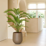 Een Kunstplant Phoenix van 160 cm staat op een lichtgekleurde vloer in een lichte, moderne kamer met grote ramen, crèmekleurige muren en een minimalistische inrichting – en voegt zo de charme van tropische planten toe aan je luxe interieur.
