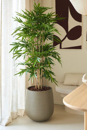 De Kunstplant Bamboe 150 cm, met weelderige groene bladeren, staat binnenshuis bij een raam met vitrages, naast een beige bankje met een kussen en abstracte wandkunst in een moderne kamer die is ingericht in neutrale tinten.