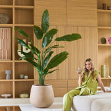 Een vrouw in een groene outfit zit op een beige bank met een drankje in haar hand, met de Kunstplant Strelitzia Nicolai Deluxe 210 cm naast haar en houten planken met decoratieve voorwerpen op de achtergrond.