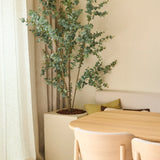 Een minimalistische eethoek met een tafel en stoelen van licht hout, neutrale kussens op een bankje en de Kunstplant Eucalyptus 180 cm – een hoge groene potplant – die naast beige gordijnen staat, allemaal badend in zacht natuurlijk licht.
