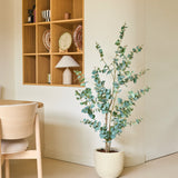 Een minimalistische kamer met lichte houten meubels, een Kunstplant Eucalyptus van 150 cm op de vloer en een open houten wandplank waarop serviesgoed en een lamp staan uitgestald. Neutrale kleuren en strakke lijnen zorgen voor een rustige, luchtige sfeer.