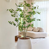 De Kunstplant Ficus van 180 cm, met zijn weelderige groene bladeren, staat trots op een lichte vloer in een moderne, lichte woonkamer met een witte bank, een zacht vloerkleed en doorschijnende gordijnen die natuurlijk licht binnenlaten.