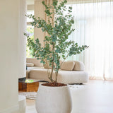 De Kunstplant Eucalyptus 180 cm staat op een lichte vloer in een moderne, minimalistische woonkamer met beige meubels, grote ramen en doorschijnende gordijnen die ervoor zorgen dat de ruimte baadt in natuurlijk licht.