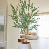 In een lichte, moderne woonkamer met witte muren, vitrages en een crèmekleurige bank staat een kunstplant Eucalyptus van 240 cm met slanke takken en groene bladeren.