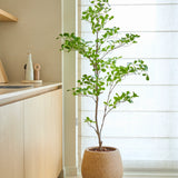 Een kunstplant van het type Terminalia Catappa van 150 cm met levendig groene bladeren staat op de vloer naast een licht houten aanrecht en een groot raam met witte, doorschijnende gordijnen.