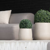 Een moderne zithoek buiten met een lichtgrijze sofa, beige kussen en twee Kunstplant Buxus romeinse stijl UV D30cm ronde potplanten op een betonnen richel tegen een zwarte horizontale lattenwand.