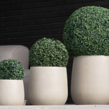 Drie Kunstplant Buxus Romeinse stijl UV D40cm vormbomen in beige plantenbakken staan in een rij voor een zwarte houten muur en lichtgrijze stoelen.