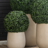 Drie Kunstplant Buxus romeinse stijl UV D40cm plantenbakken zijn voorzien van perfect gesnoeide, ronde groene struiken. Ze staan op een houten oppervlak tegen een donkere wand met houten panelen en creëren een moderne en decoratieve display.