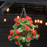 De Kunstbegonia Rood in Mand UV 70cm heeft levendige rode kunstbegonia's en weelderige groene bladeren in een hangende mand, perfect om kleur toe te voegen onder warme strijklichtjes binnen of buiten.