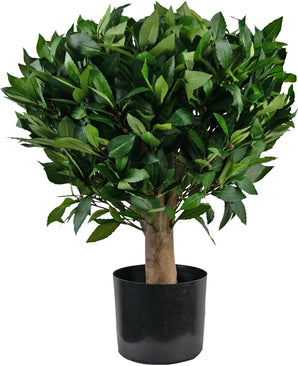 Plante artificielle Laurier d65 cm UV