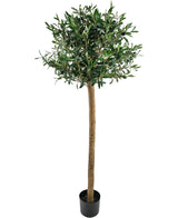 De Kunst olijfboom 150 cm UV is een hoge kunstolijfboom met een dikke stam en dichte groene bladeren, gezet in een kleine zwarte pot en afgebeeld tegen een witte achtergrond.